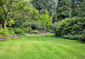 Optimiser l'expérience du jardin à Beuzeville-la-Guerard